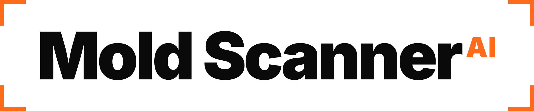Mold Scanner AI